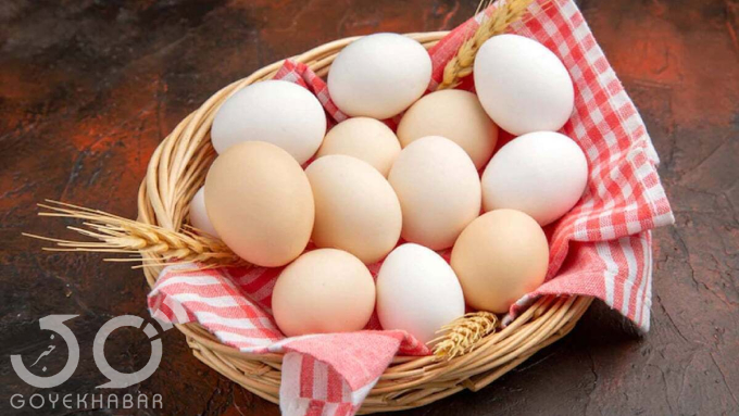 تخم مرغ