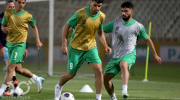 تیم ملی فوتبال