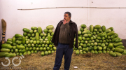 بازار هندوانه 