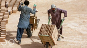 کارگران اتباع خارجی